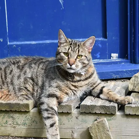 Mill Panzió Bainbridge