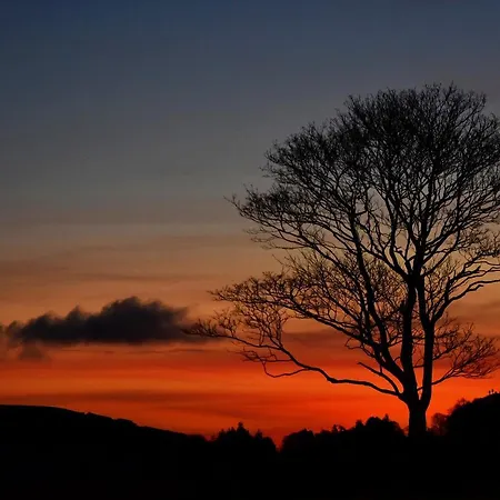 Mill Panzió Bainbridge