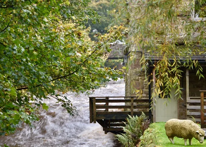 Mill Bed & Breakfast 5*