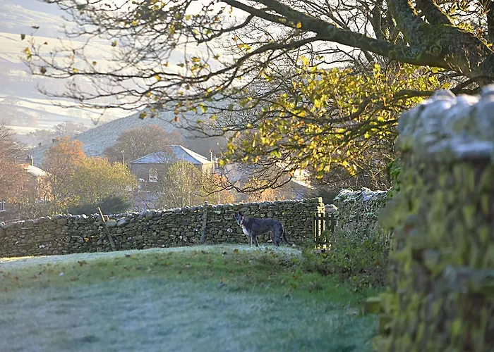 Mill Bed & Breakfast