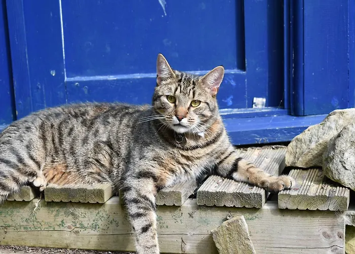 Mill Bed & Breakfast Bainbridge