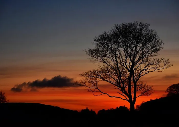 Mill Bed & Breakfast Bainbridge